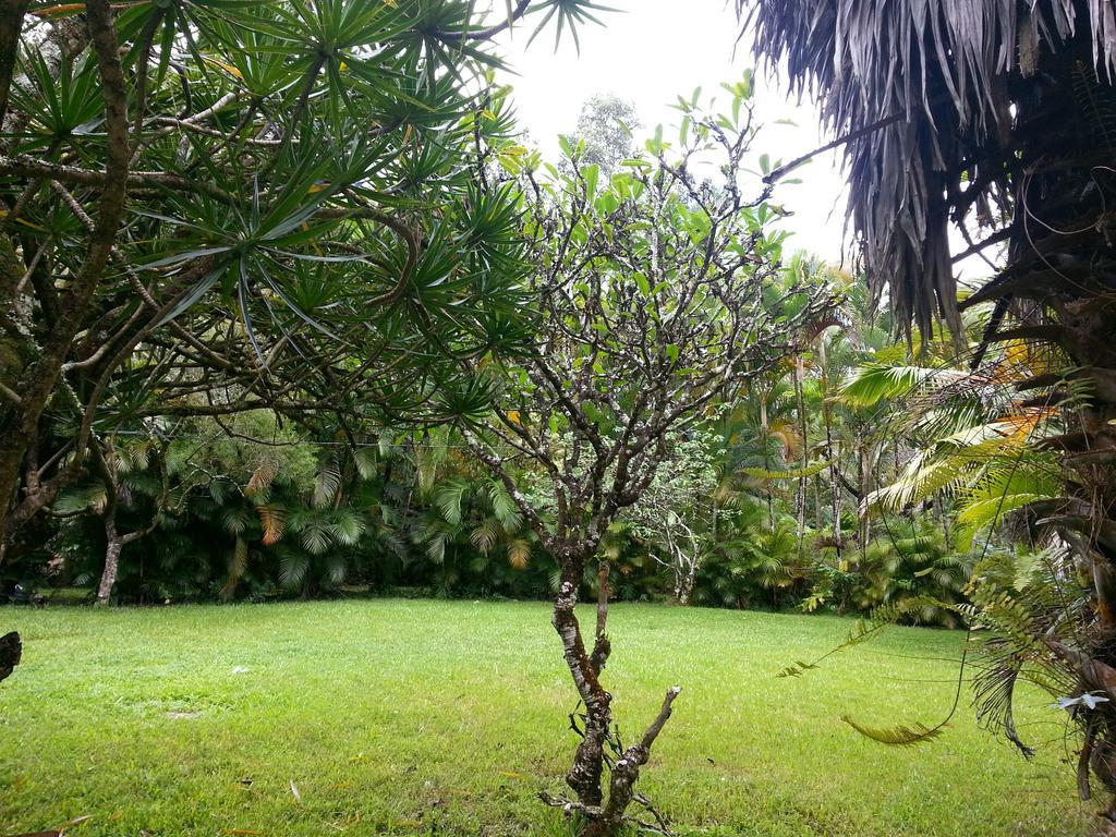 Hale Hale Hostel Pahoa Eksteriør bilde