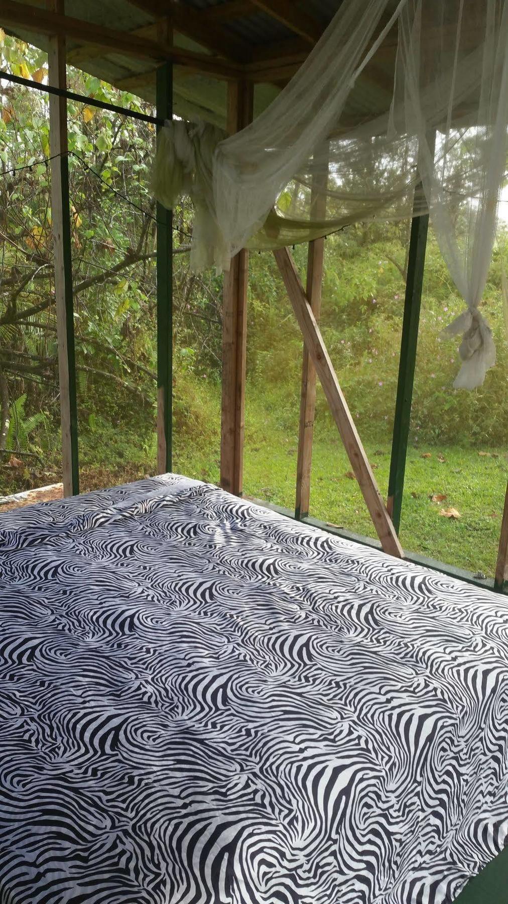 Hale Hale Hostel Pahoa Eksteriør bilde